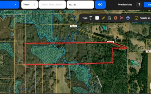 43.6 Wooded Acres in Winnsboro Wood County Texas East of Dallas