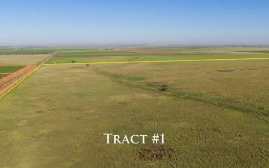 Tract 1 – 165.7+/- Acres CRP in Lamb County