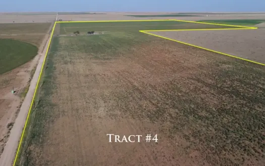 Tract 4 – 220 Acres+/- of Dryland Farmland in Bailey County