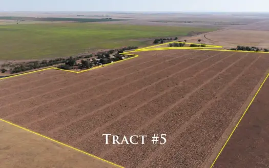 Tract 5 – 65+/- Acres of CRP – SAFE in Bailey County, Texas
