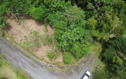 Corner Lot for Sale in Altos del María | 1,370.8 m² Mountain Land