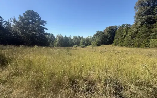 Acreage For Sale In North Central Arkansas