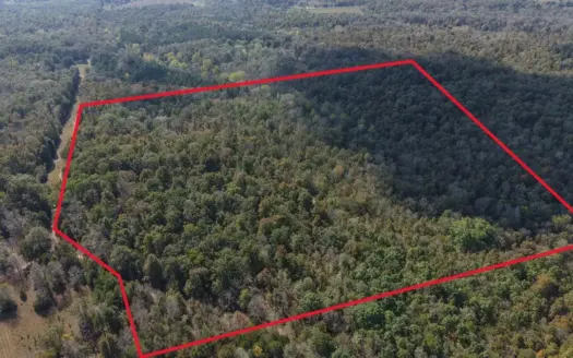 Acreage For Sale In North Central Arkansas