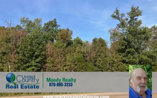 Land For Sale Near The Spring River Hardy Arkansas
