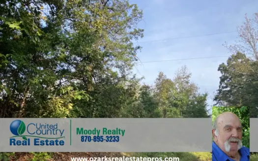 Residential Lots For Sale In Hardy Arkansas
