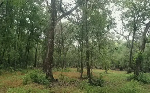Land For Sale in Branford Florida