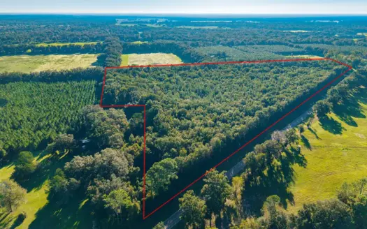 ALMOST 23 ACRES OF VACANT LAND in NEAR TRENTON, FLORIDA.
