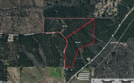 42± Acres of Timber Land for Sale in Lincoln Parish, LA