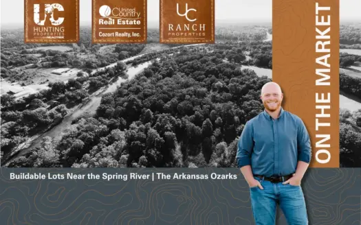 Buildable 1.17 Acre Lot in the Ozarks | Mammoth Spring, Arkansas