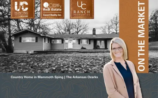 Country Home & Acreage for sale in the Arkansas Ozarks