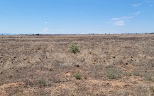 5 Acres in McIntosh NM | Estancia Valley Land With Open Views