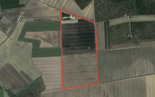 304-Acre Blackland Farm for Sale Near Elizabeth City, NC