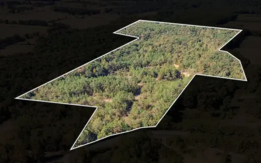 ABSOLUTE AUCTION: 60.44± Acres of Prime Land in Ethridge, TN