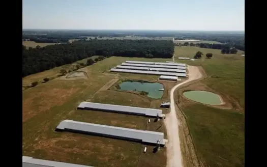 8 Barn Poultry Small Bird Broiler Farm Operation