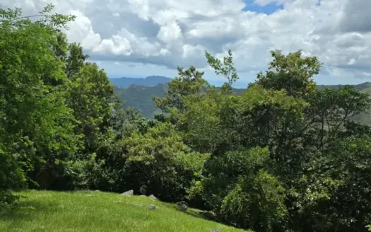 Mountain Lot with Panoramic Ocean & Mountain Views Near Coronado
