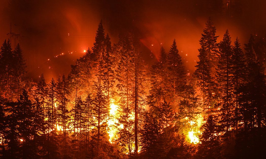 Basic Facts About Wildfires