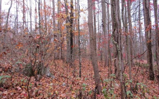 photo for a land for sale property for 45093-91952-Abingdon-Virginia