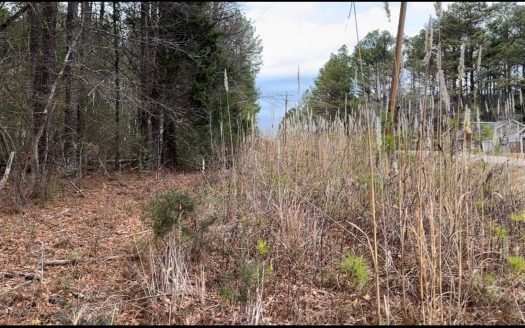photo for a land for sale property for 41060-05281-Adamsville-Tennessee
