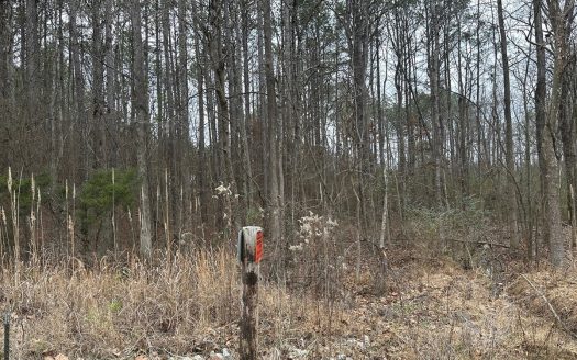 photo for a land for sale property for 41060-05284-Adamsville-Tennessee