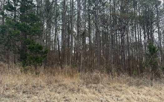 photo for a land for sale property for 41060-05286-Adamsville-Tennessee