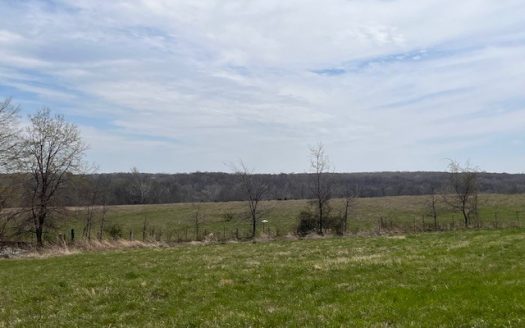 photo for a land for sale property for 24022-53610-Altamont-Missouri