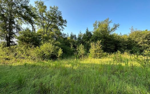 photo for a land for sale property for 42145-11051-Alto-Texas