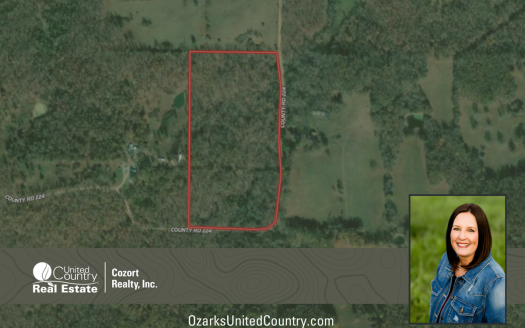 photo for a land for sale property for 24078-86820-Alton-Missouri