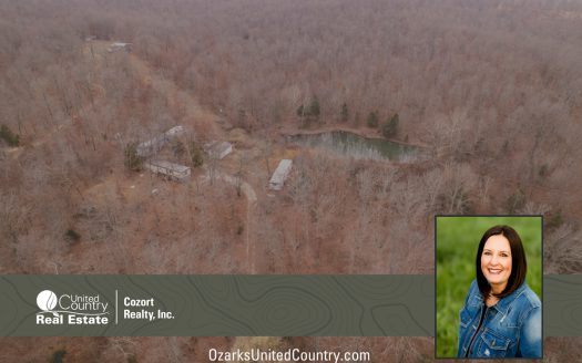 photo for a land for sale property for 24078-87590-Alton-Missouri