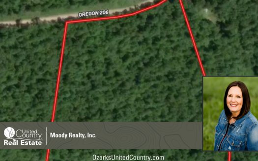 photo for a land for sale property for 24078-88180-Alton-Missouri