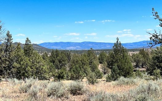 photo for a land for sale property for 04037-48550-Alturas-California