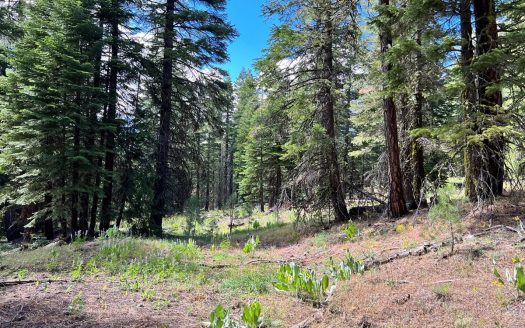 photo for a land for sale property for 04037-48890-Alturas-California