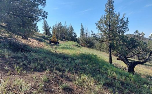 photo for a land for sale property for 04037-50120-Alturas-California