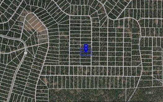 photo for a land for sale property for 04037-50280-Alturas-California
