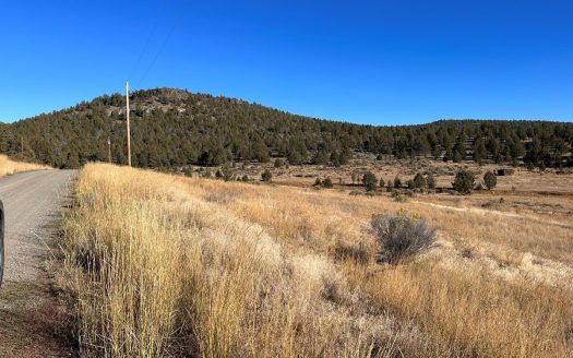 photo for a land for sale property for 04037-50540-Alturas-California