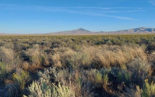 photo for a land for sale property for 04037-50600-Alturas-California