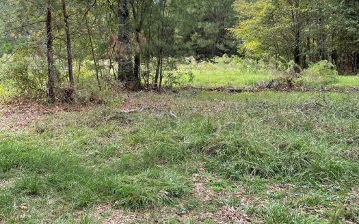 photo for a land for sale property for 42145-11063-Apple Springs-Texas