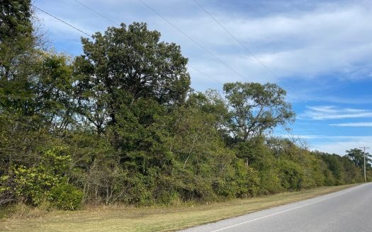 photo for a land for sale property for 03050-44980-Ash Flat-Arkansas