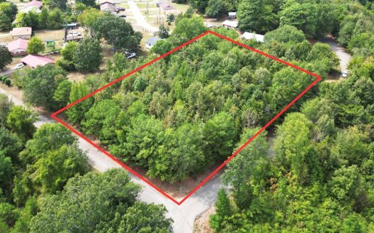 photo for a land for sale property for 42252-31014-Atlanta-Texas