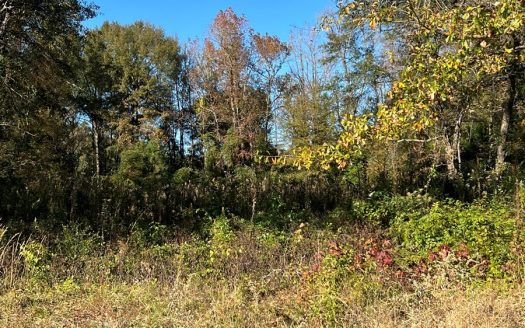 photo for a land for sale property for 42252-29045-Atlanta-Texas