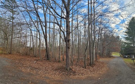 photo for a land for sale property for 45060-92046-Austinville-Virginia