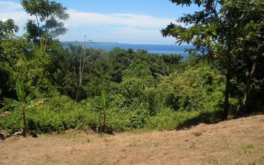 photo for a land for sale property for 60002-17260-Bastimentos-Panama