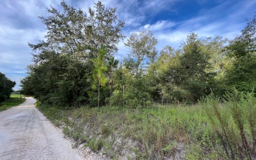 photo for a land for sale property for 09090-88130-Bell-Florida