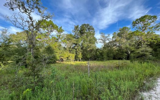photo for a land for sale property for 09090-88129-Bell-Florida