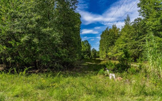 photo for a land for sale property for 32118-20261-Biscoe-North Carolina