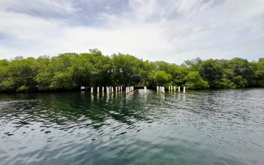 photo for a land for sale property for 60002-21102-Bocas del Toro-Panama