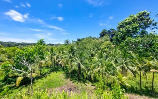 photo for a land for sale property for 60002-21121-Bocas del Toro-Panama