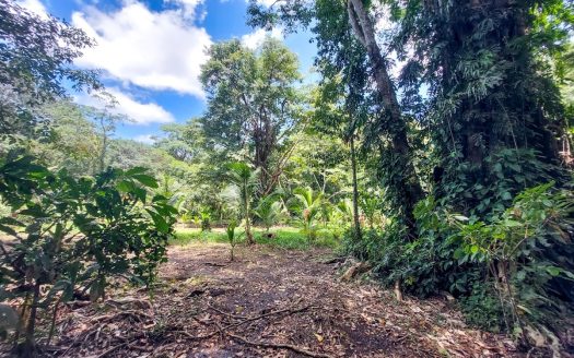 photo for a land for sale property for 60002-21122-Bocas del Toro-Panama