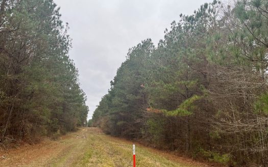 photo for a land for sale property for 03019-03871-Bodcaw-Arkansas