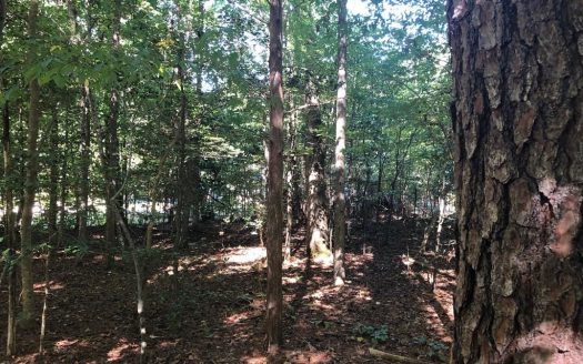 photo for a land for sale property for 45007-68090-Bracey-Virginia