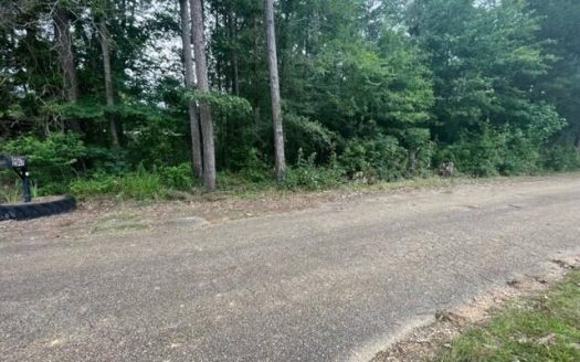 photo for a land for sale property for 23042-40529-Brandon-Mississippi
